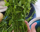 Tumis Pakis Udang Pedas langkah memasak 1 foto