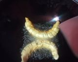নকশি চিকেন সামোসা রেসিপির ধাপ 6 ছবি