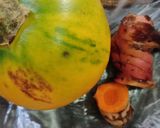 Foto langkah ke 1 dari resep Sayur asem khas masakan dayak.