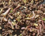 Foto del paso 2 de la receta: Pasta loca