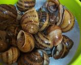 Foto del paso 1 de la receta: Caracoles guisados con lomo