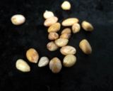 A picture of step 2 of Farali misal.