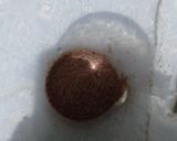 Foto langkah ke 1 dari resep Susu Coklat Hangat.