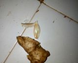 A picture of step 2 of Ukwaju juice.