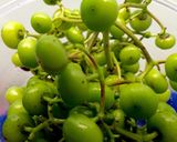 Hình bước làm 1 của món Cá tráo kho quả giác