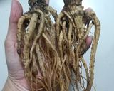 Hình bước làm 1 của món Sâm đương quy chưng mật ong