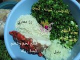 العصبان الليبي 🥗