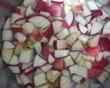 A picture of step 2 of Apple sauce.