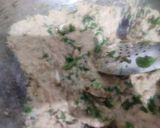 A picture of step 5 of Fish curry.