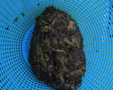 Foto del paso 1 de la receta: Espinacas con huevo