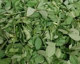 मेथी के पराठे (methi ke parathe recipe in Hindi) रेसिपी चरण 1 फोटो