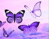 عکس مرحله 5 از دستور خورش بامیه بادمجان