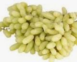 A picture of step 1 of Green grapes sharbat.