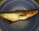 Foto langkah ke 1 dari resep Pindang ikan patin.