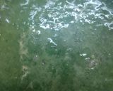 A picture of step 1 of Palak paneer.