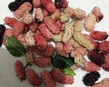 Foto langkah ke 1 dari resep Mulberry sauce.
