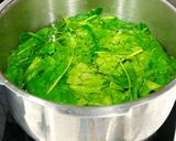 પાલક પનીર પરાઠા (Palak Paneer Paratha Recipe In Gujarati) રેસીપી સ્ટેપ1ફોટો