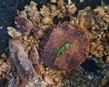 Foto langkah ke 4 dari resep Lotek Sayur.