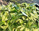 A picture of step 2 of Curry leaves thokku.