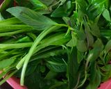 Hình bước làm 5 của món Bò kho