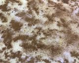 Foto del paso 4 de la receta: Rolls de canela súper fáciles