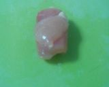 Foto del paso 3 de la receta Mini libritos
