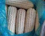 Hình bước làm 1 của món Sữa bắp đường phèn