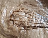 Foto del paso 5 de la receta: Budín de banana y chocolate