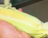 A picture of step 1 of Roasted corn masti.