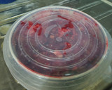 Foto langkah ke 5 dari resep Char Siu (Chinese BBQ Pork).