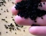صورة لخطوة 4 من وصفة فقيقصات مالحين