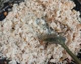 Foto langkah ke 3 dari resep Choi Pan.