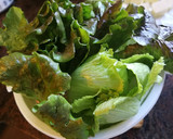 Foto del paso 1 de la receta: Ensalada de lechuga con queso manchego curado