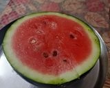 તરબૂચ આઇસ્ક્રીમ (Watermelon Icecream Recipe In Gujarati) રેસીપી સ્ટેપ1ફોટો