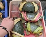 Foto langkah ke 1 dari resep Kepiting saos padang pedas.