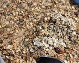 Házi granola recept fázis 3 fotója