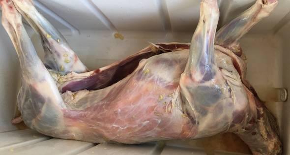 Como hacer Cordero Asado En Caja China | Cocinar en casa