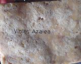 Foto langkah ke 8 dari resep Nugget Pisang Lembut Tanpa Telur ala Violet Azalea.