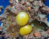 Foto del paso 5 de la receta: Pan de carne relleno!