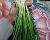लहसुन के परांठे (Lahsun ke parathe recipe in hindi) रेसिपी चरण 1 फोटो