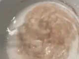 Crêpes jambon/fromage