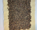 Foto del paso 4 de la receta: Solomillo Wellington