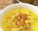 Foto langkah ke 8 dari resep Opor Ayam.