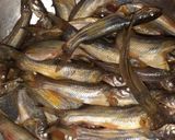 கெளுத்தி மீன் குழம்பு (Keluthi meen kulambu recipe in tamil) ரெசிபி ஸ்டேப் 1 புகைப்படம்
