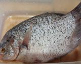 Foto langkah ke 1 dari resep Gurame Pedas Manis.