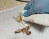 Foto del paso 5 de la receta: Fabada Asturiana