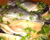 Foto del paso 1 de la receta: Truchas al horno con roquefort