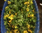 Foto del paso 4 de la receta: EMPANADA DE CHEPIL (Tashiti srscula)