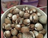 Foto langkah ke 1 dari resep Kerang Dara Tumis pedas.