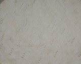 Foto del paso 4 de la receta: Masa para pizza (para principiantes)